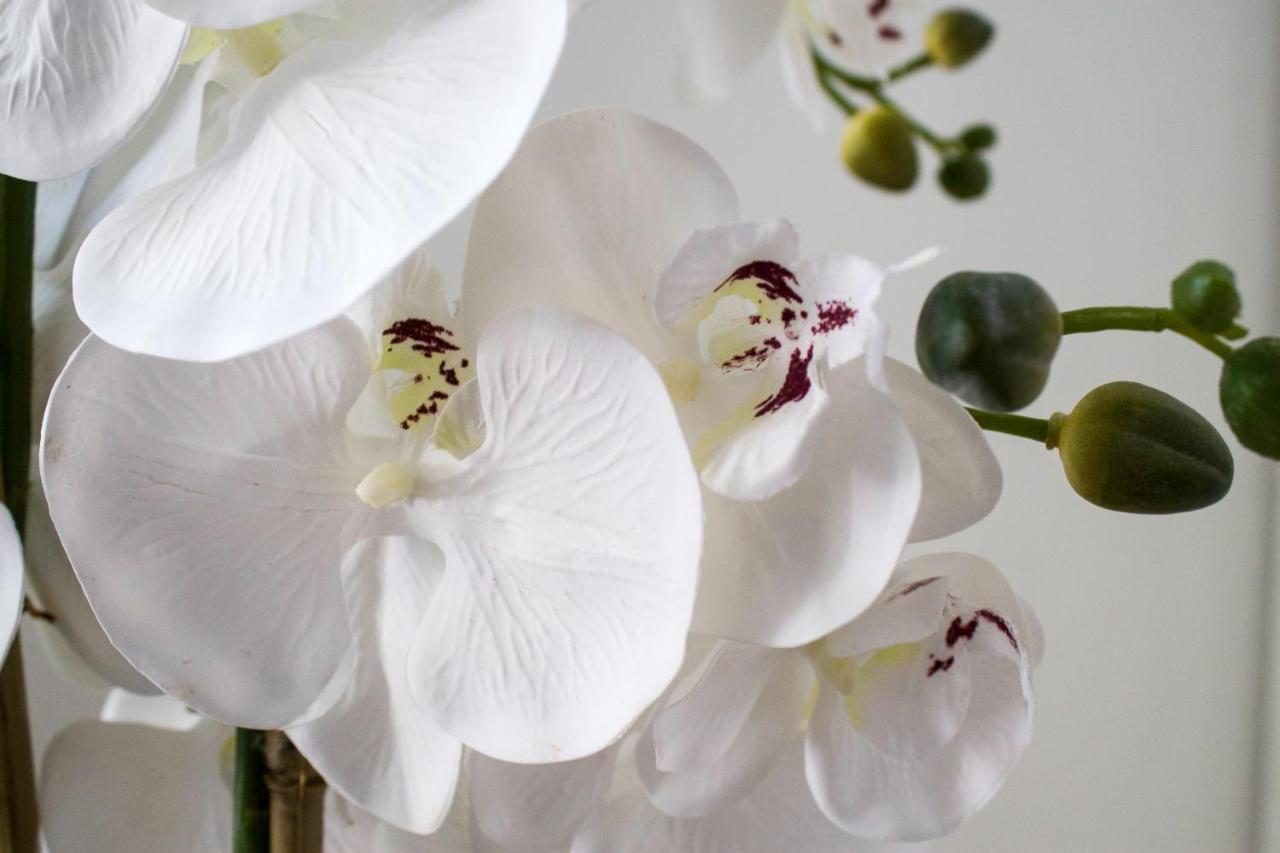 White Orchid Pula Apartment Luaran gambar