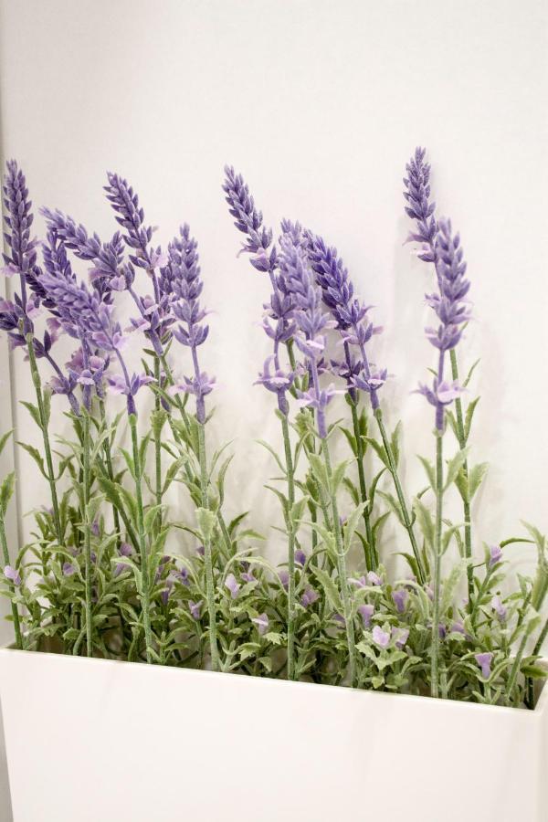 White Orchid Pula Apartment Luaran gambar